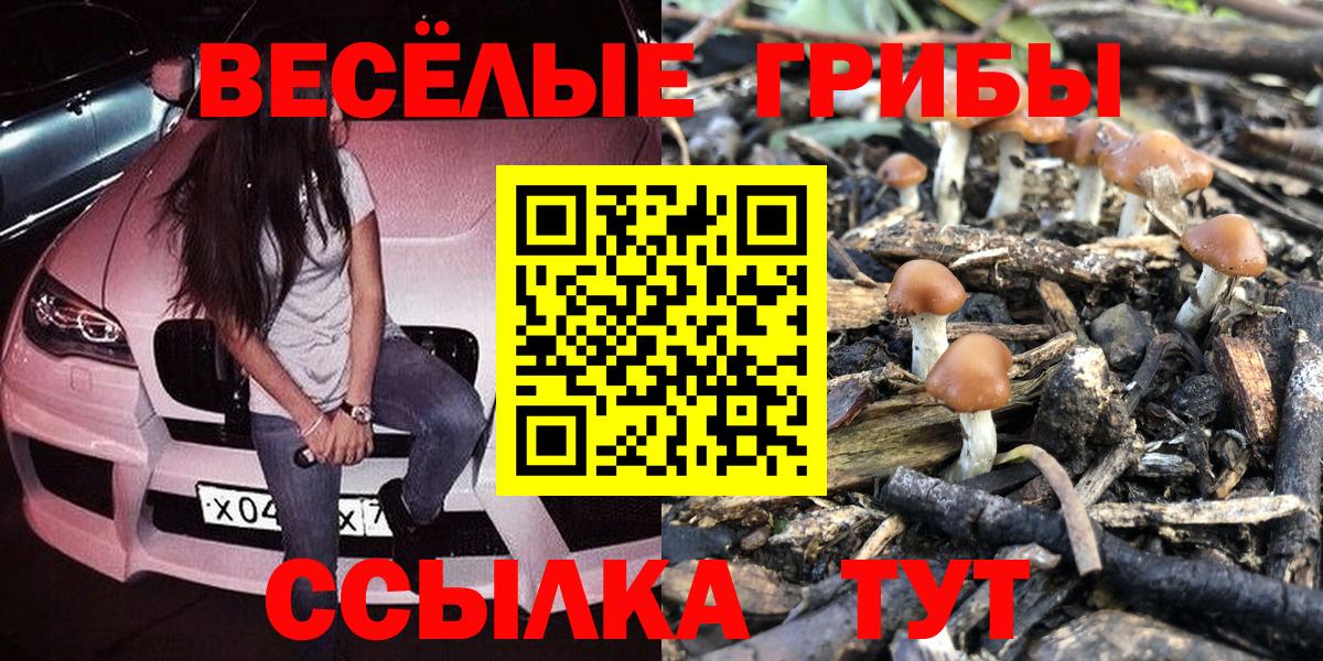 Псилоцибиновые грибы Cubensis Белореченск